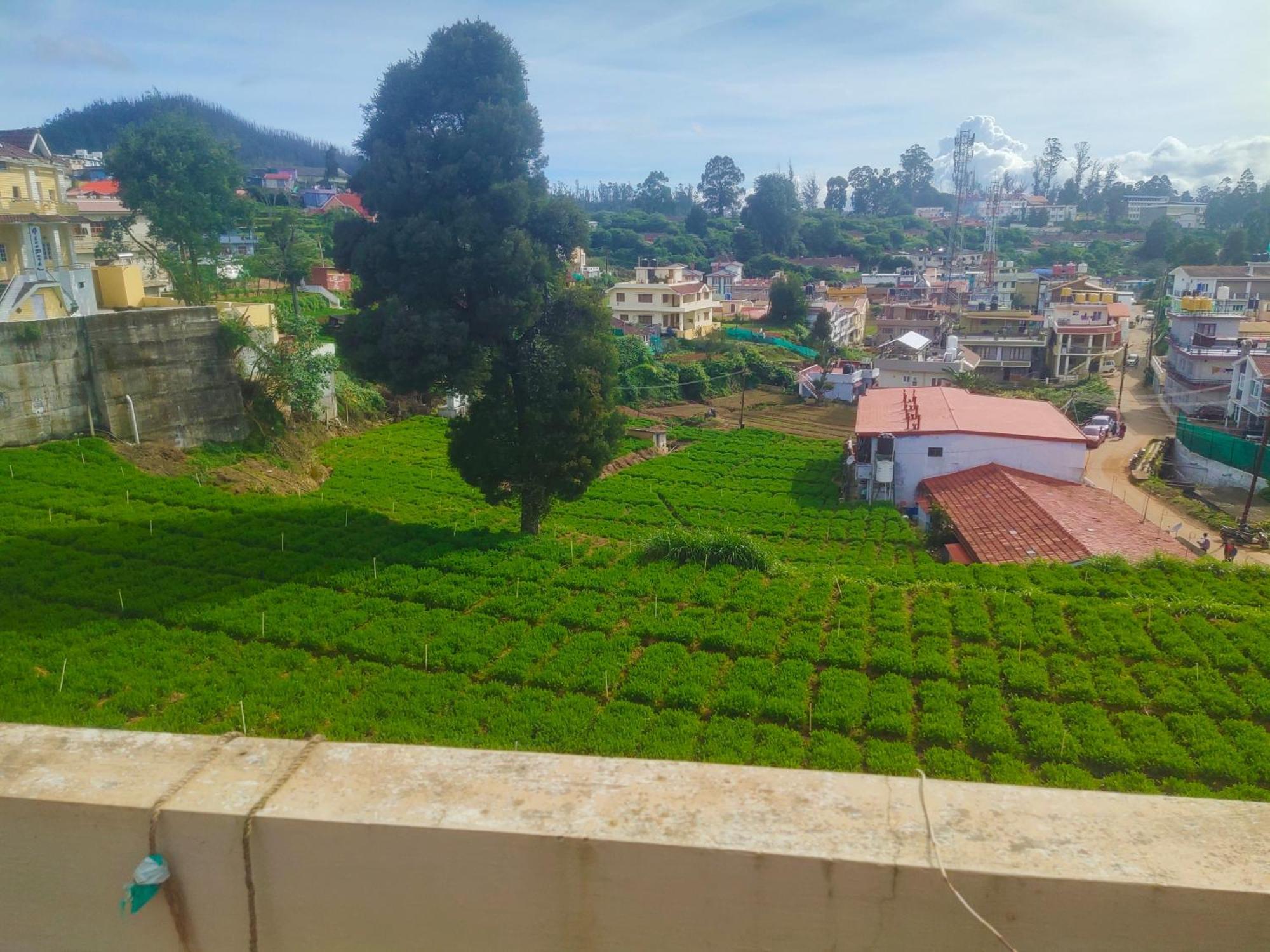 Ooty Mountain Cottage المظهر الخارجي الصورة